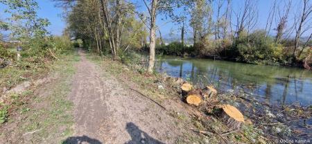 Sečnja drevja in vegetacije ob Kamniški Bistrici v naselju Šmarca in Nožice (2)